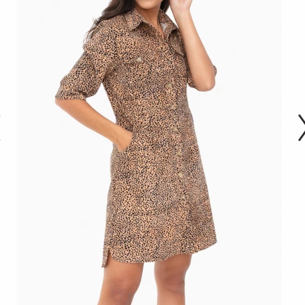Leopard print button up dress